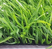 Forio Geleonsport 40mm Geleonsport 40 фото 2 | FLOORDEALER